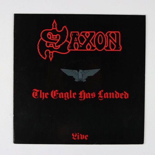 Saxon the eagle - eagle, has